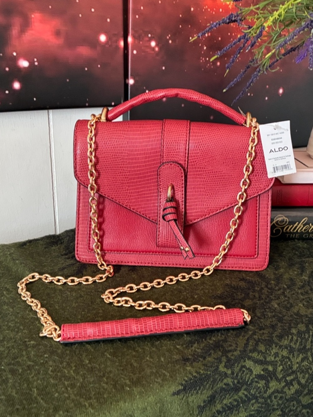 Aldo Crossbody Bag